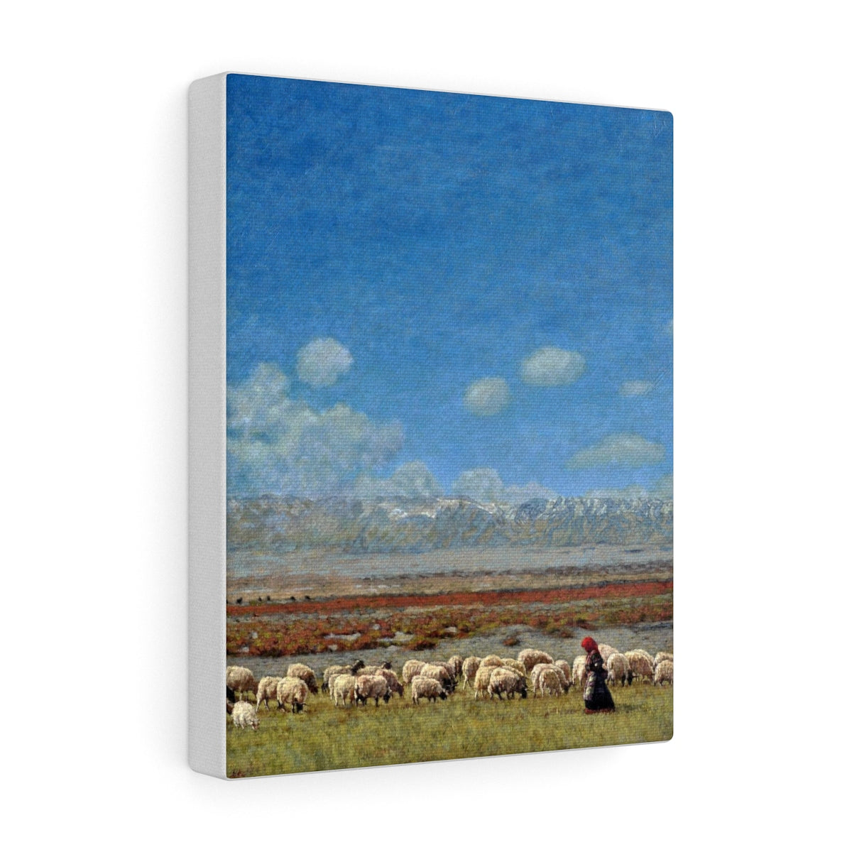 Canvas Gallery Wraps - Shepherd
