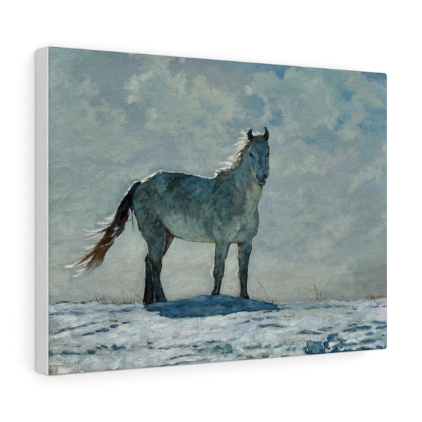 Canvas Gallery Wraps - Horse In the Wind
