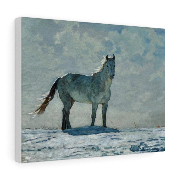 Canvas Gallery Wraps - Horse In the Wind